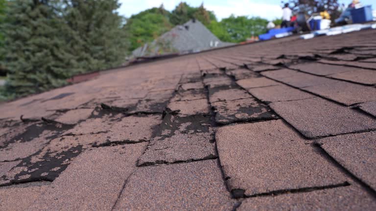 Best Roof Maintenance and Cleaning  in Anza, CA