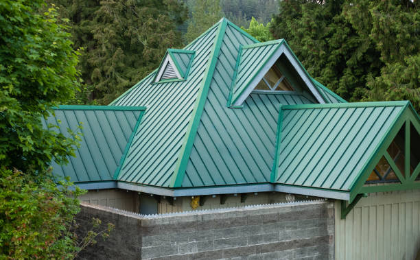 Best Metal Roofing Installation  in Anza, CA
