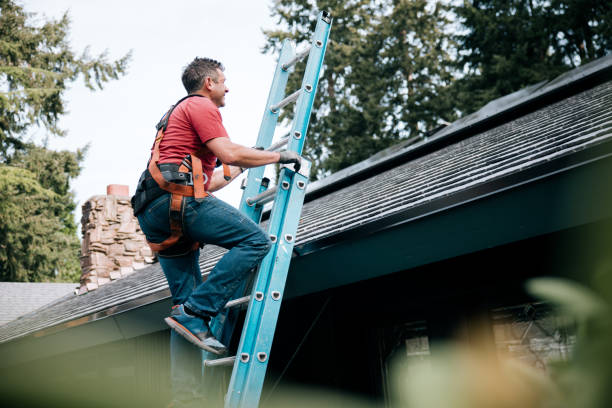Best Emergency Roof Repair Services  in Anza, CA