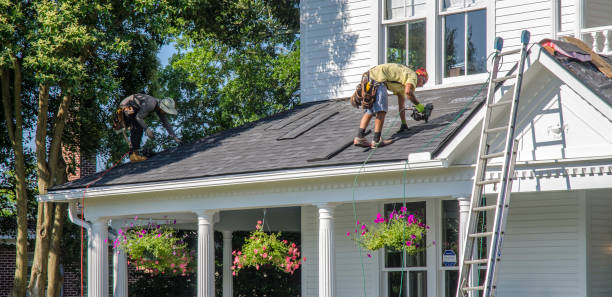 Best Roof Insulation Installation  in Anza, CA